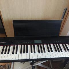 gopiano61
