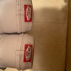 VANS スニーカー　25cmの画像