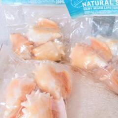 NATURAL SHELL 貝殻セット3個入り×3つ