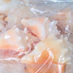 NATURAL SHELL 貝殻セット3個入り×3つの画像