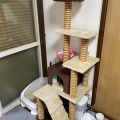 キャットタワー