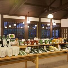 【販売スタッフ】「日本茶の新たな楽しみ方を提案するスタッフ募集カ...