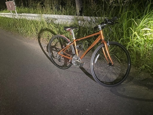 自転車　クロスバイク　GIANT ジャイアント　Liv リブ