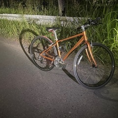 自転車　クロスバイク　GIANT ジャイアント　Liv リブ