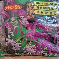 東洋ラン、エビネ、オモトの土の画像