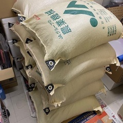 令和6年　新米【籾】30kg