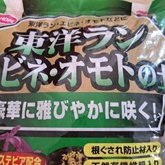 東洋ラン、エビネ、オモトの土の画像