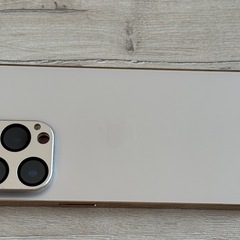iPhone13PRO 256G
