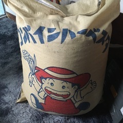 新米お米35k      秋田小町
