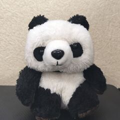 未使用品 天使のパンダ まじめな弟