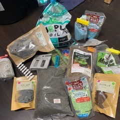 コケリウム　中古　