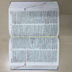 ♪NEW SUNRISE English-Japanese Dictionary ニューサンライズ英和辞典（2色版）の画像
