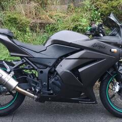 ニンジャ250R　ヨシムラ管　(No.2245)