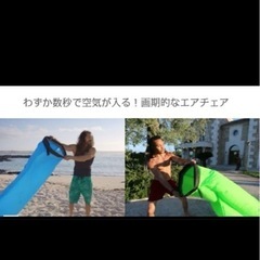  【新品未使用】レイバッグ LayBag 現金引換え直接渡し可
の画像
