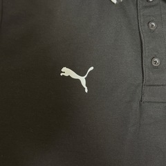 【新品】PUMA BMW コラボ　バックロゴ　襟袖配色　完売モデル　ポロシャツの画像
