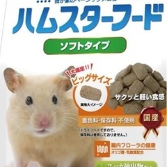 ハムスターフード🐹ソフトタイプ🐹
