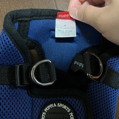 犬 ハーネスの画像