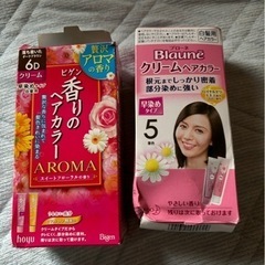 値下げしました　 ヘアカラー剤白髪染め用 お話中
の画像