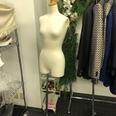 トルソー（女性/上半身）