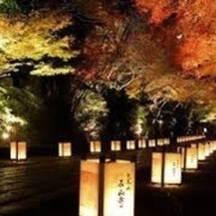 和歌山北部~大阪泉州のアラフィフからの募集です。😊