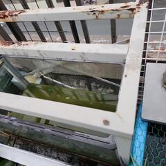 ガラス水槽、水槽台の画像