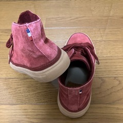 ホーキンス24.5㎝の画像