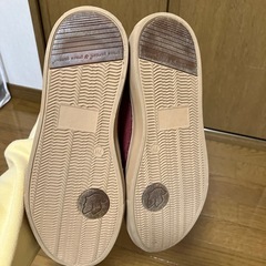 ホーキンス24.5㎝の画像