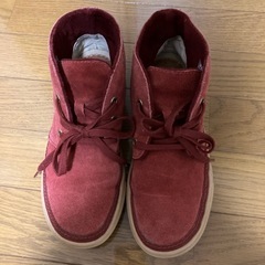 ホーキンス24.5㎝の画像