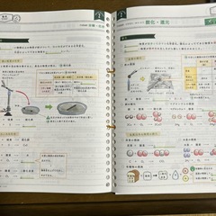 【美品】中学2年生 5教科の画像