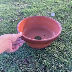 各種鉢、大きいコンテナ、バケツなど　プラ　陶器　の画像