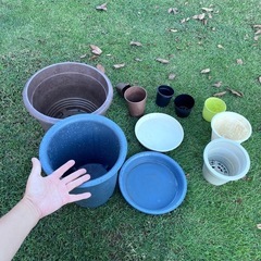 各種鉢、大きいコンテナ、バケツなど　プラ　陶器　の画像