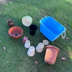 各種鉢、大きいコンテナ、バケツなど　プラ　陶器　の画像