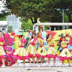どまつりチーム体験会10/25華★D.M.T - 名古屋市
