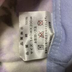 純綿100薄手 毛布の画像