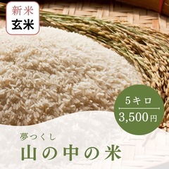 新米 玄米5キロ 山のお米