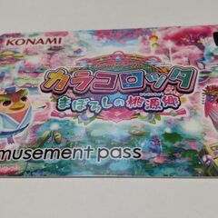e-amusement pass