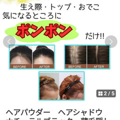 薄毛隠し1本（数本有ります）の画像
