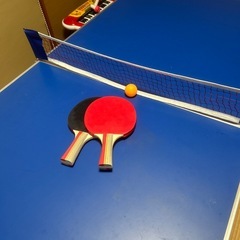 家庭用卓球台の画像