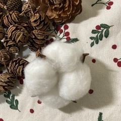まつぼっくりなど。セット。の画像
