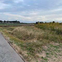お庭の草刈り　空き地の草刈り　個人様　法人様🌱