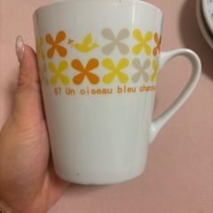 コップ、お皿などの画像