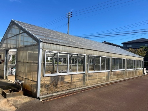 ビニールハウス 解体済み