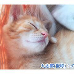 お迎えありがとうございました😺✨✨