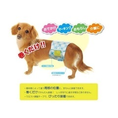 【売ります】犬用ペットオムツ・中〜大型犬用の画像