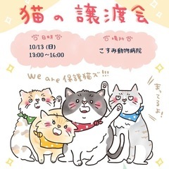 🐱保護ねこ譲渡会🐱