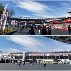 F1(F-1/エフワン/角田裕毅/レッドブル)仲間募集中