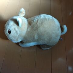 ラウンドワン限定★ラビとびら★BIGぬいぐるみ★うさぎの画像