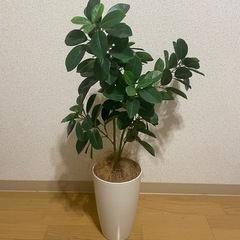 【お譲り先決定！】観葉植物　フェイクグリーン  ※高さ80cm