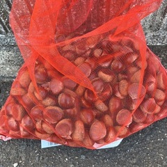 生栗の画像