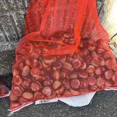 生栗の画像